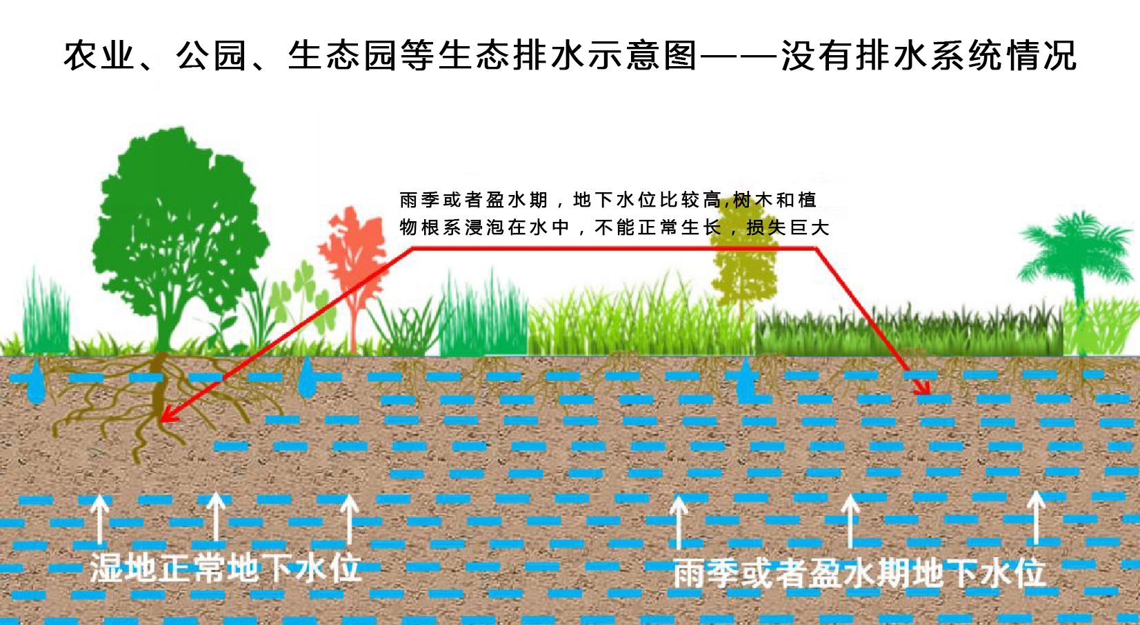 农业、公园、生态园等生态排水示意图——没有排水系统情况.jpg